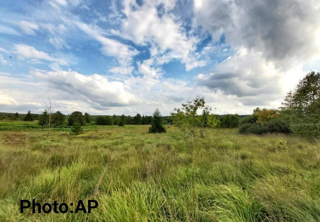 La Taniere Du Lac โรแบร์วิลล์ ภายนอก รูปภาพ